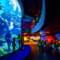 1647428983 bangkok.jpg?w=60&h=60&dpr=1